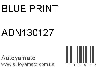 ADN130127 (BLUE PRINT)